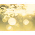 sunscatter_clouds_gold_thumb.png