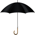 umbrella_black_thumb.png