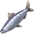 a_herring.png