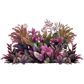 jungle_foliage_cluster_blush_thumb.png