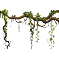 jungle_vine_branching_day_thumb.png