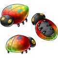 beetles_vibrant.png