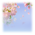 cherry_blossom_sky_day_thumb.png