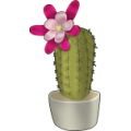 big_blossom_potted_cactus_green_thumb.png