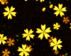 cherry_blossoms_golds_icon.png