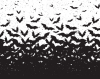 inky_wings_ltd_icon.png