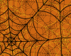 orange_spider_web_icon.png