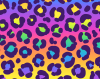 rainbow_leopard_print_icon.png