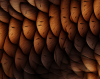 river_monster_scales_icon.png