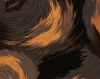 tortie_swirl_icon.png