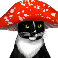 miep_mushroom_hat_thumb.png