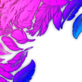 An item named Rainbow Feather Frame, a type of Frames