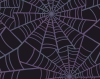 creepy_cobwebs_icon.png