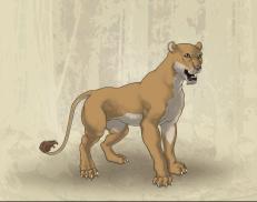 A custom Lion puma named 'Savannah Dair'