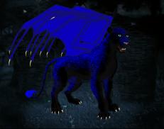 A custom Lion puma named 'Nocturna'