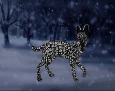 A custom Serval puma named 'Alkimi Roark'