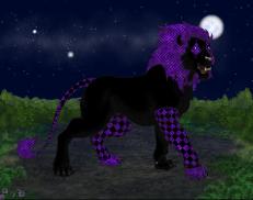 A custom Lion puma named 'Behind Blue Eyes'