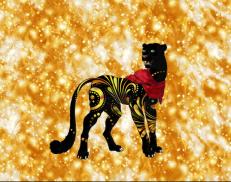 A custom Cheetah puma named 'Regal'