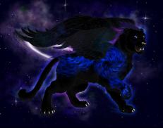 A custom Tiger puma named 'Dr Who of Time and Space'