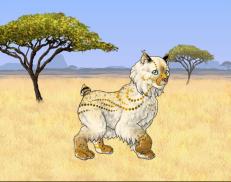 A custom Lynx puma named 'Johari'