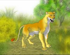 A custom Lion puma named 'Elsa of Nkorho'