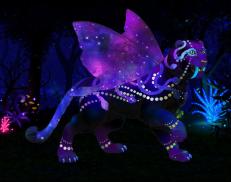 A custom Tiger puma named 'Wizardry'