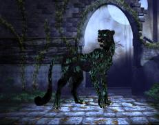 A custom Cheetah puma named 'Twisted'