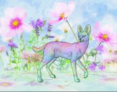 A custom Serval puma named 'Wish'