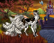 A custom Cheetah puma named 'Miss Fluffin'