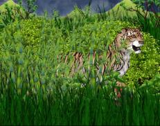 A custom Tiger puma named 'Sumatran Tiger'