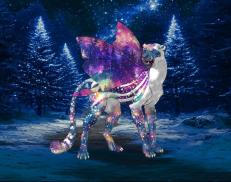 A custom Cheetah puma named 'Porri of the Noirthern Lights'