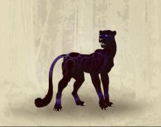 A custom Cheetah puma named 'midnight gala'