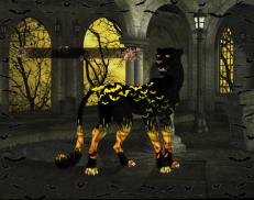 A custom Cheetah puma named 'Echo &trade; ❦ ⚰'