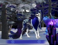 A custom Cheetah puma named 'Winter Weary'