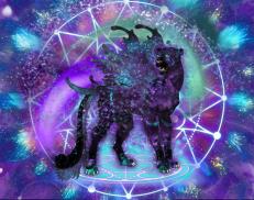 A custom Cheetah puma named 'Arcane Arts'