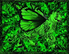 A custom Tiger puma named 'Lime'