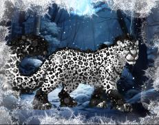A custom Snow Leopard puma named 'Ghost'