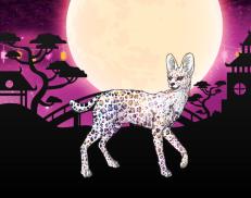 A custom Serval puma named 'Manani'