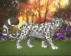 A custom Snow Leopard puma named 'Genwei'