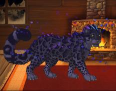 A custom Snow Leopard puma named 'Crazy on You'