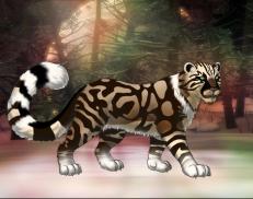 A custom Snow Leopard puma named 'Cassius'