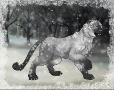 A custom Tiger puma named 'Rime of Frost'