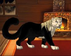 A custom Snow Leopard puma named 'Steve Clark'