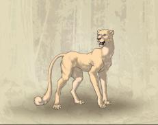 A custom Cheetah puma named 'RabbitSpeed'