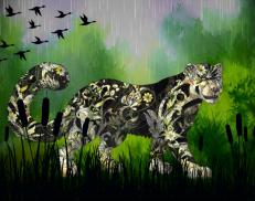 A custom Snow Leopard puma named 'Patchouli'