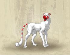 A custom Cheetah puma named 'Holding 2'