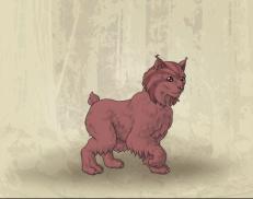 A custom Lynx puma named 'deedle 1'