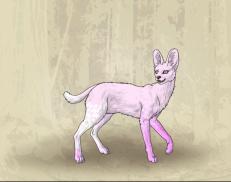 A custom Serval puma named 'Ane'