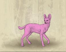 A custom Serval puma named 'Fenny'