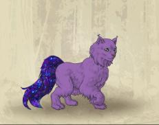 A custom Lynx puma named 'Placebo'